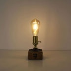 battery operated single edison light bulb