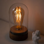 cordless glass cloche edison lamp